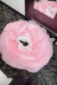 プリンセスがドレスを脱いだら…まなみちゃん8