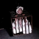 hangyu_sample_1s_blog