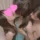 thumbnail_2